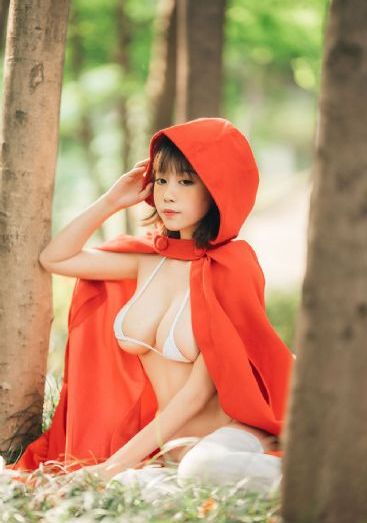 凤凰于飞完整版_免费追剧在线观看