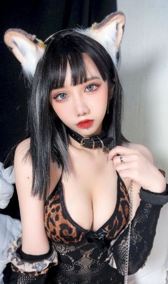 文豪野犬第六季全集免费观看_电影无删减版