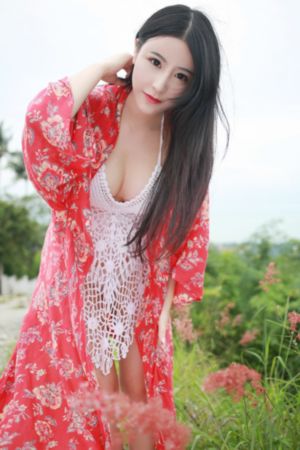 叶问4在线观看_1080P免费观看电视剧